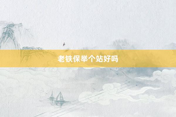 老铁保举个站好吗