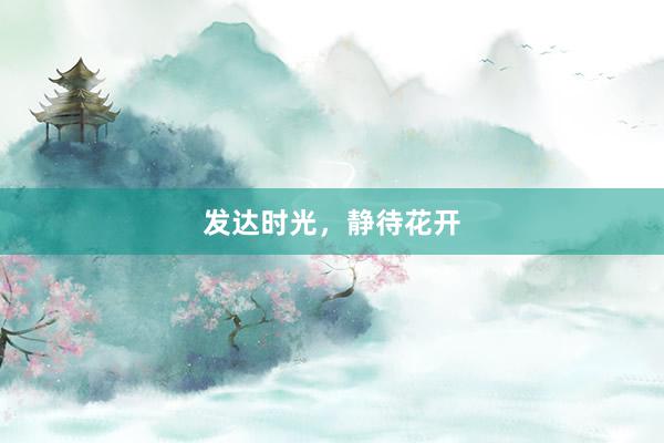 发达时光，静待花开