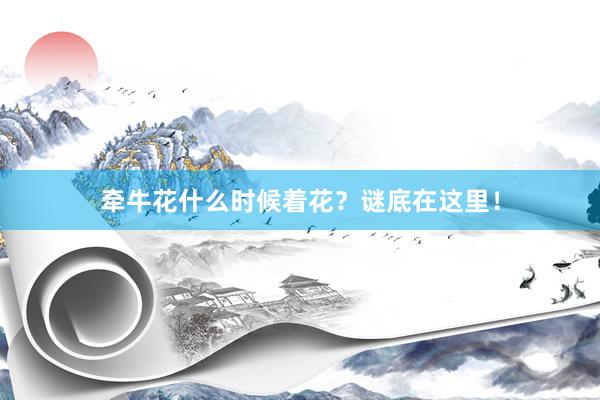 牵牛花什么时候着花？谜底在这里！