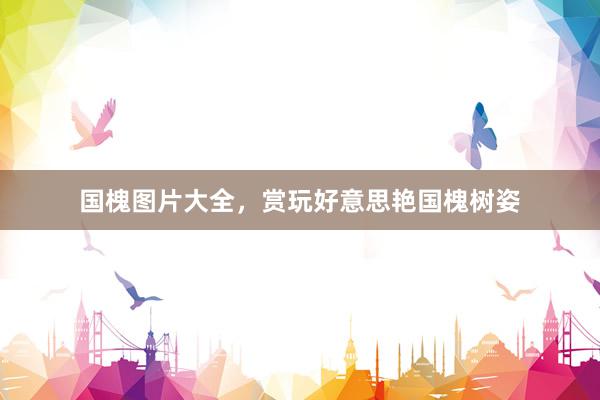 国槐图片大全，赏玩好意思艳国槐树姿