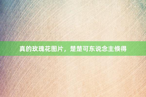 真的玫瑰花图片，楚楚可东说念主倏得