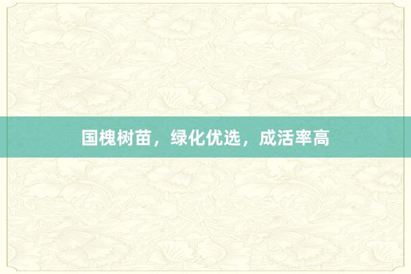 国槐树苗，绿化优选，成活率高